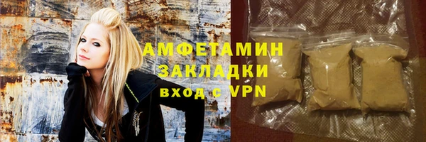 гашик Алексин
