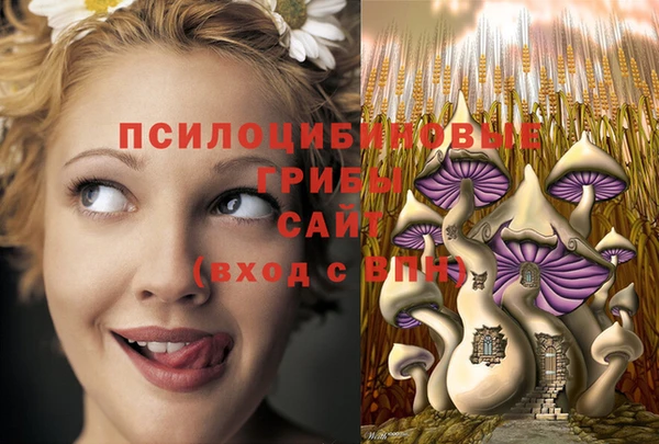 тгк Абинск