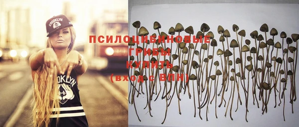 тгк Абинск
